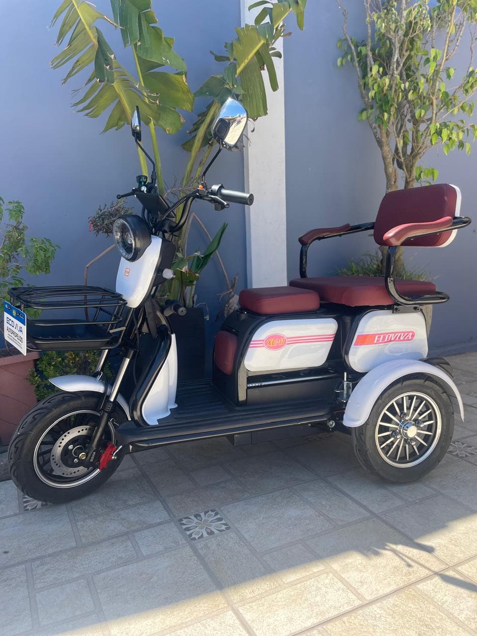 Triciclo Elétrico ECOVIVA